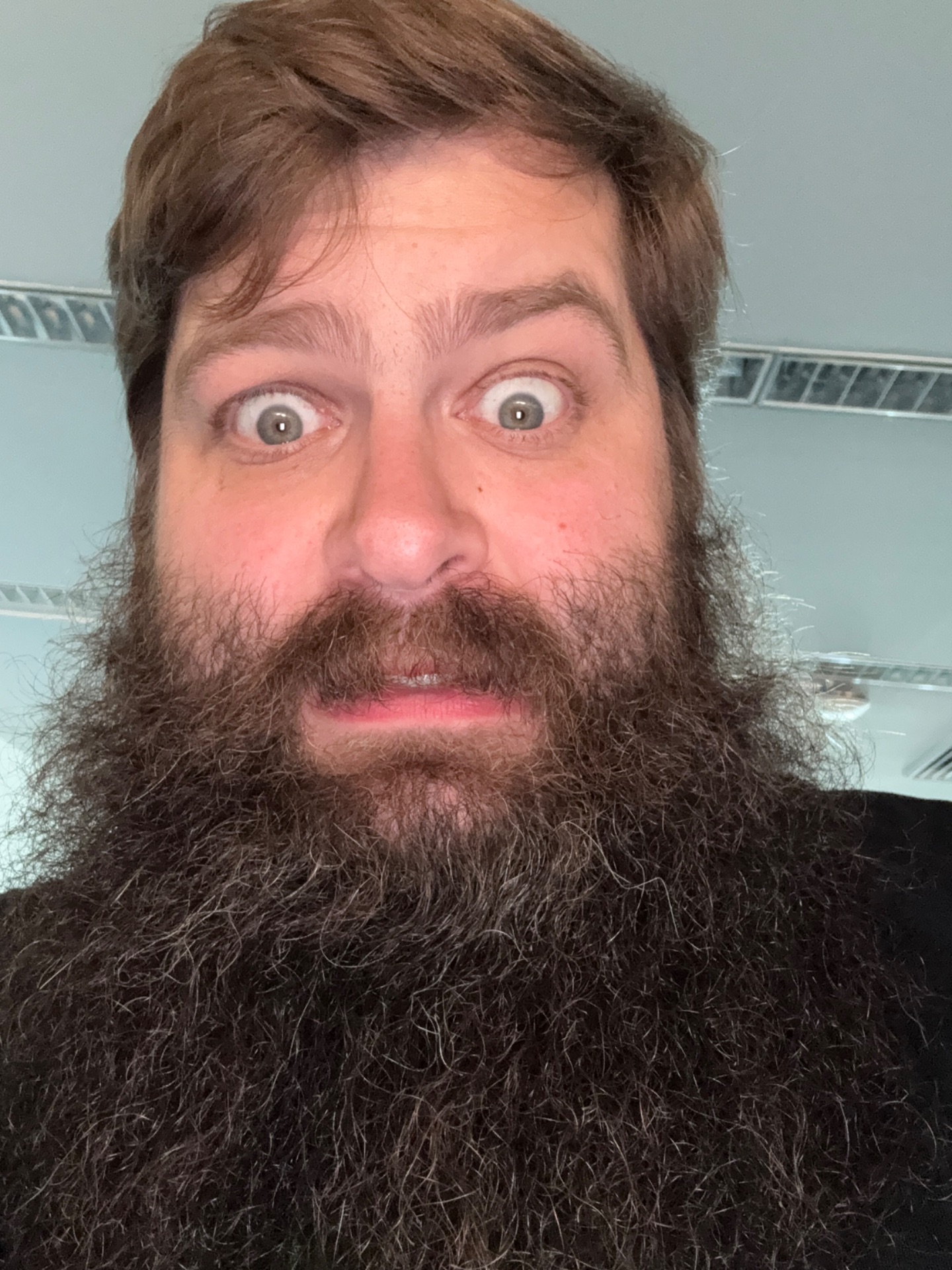 Picture of Phone t.'s submission